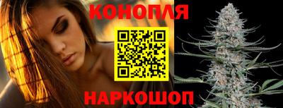 apvp Лесосибирск